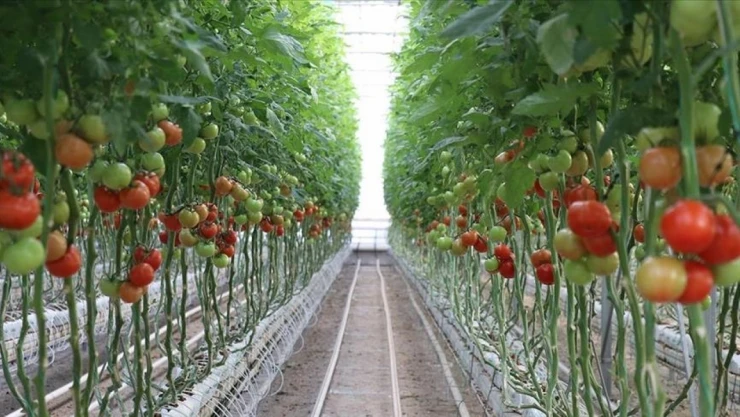 Bakan Yumaklı Duyurdu: Ekonomiye Katkı Sağlayacak