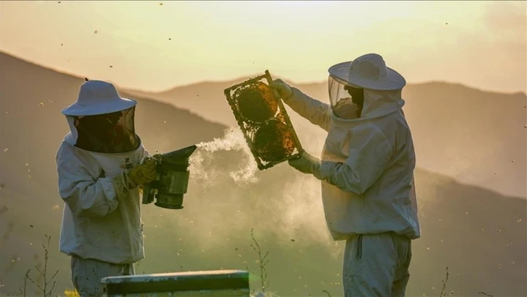 Bal Üreticilerine 'Arıcılık Turizmi' Tavsiyesi