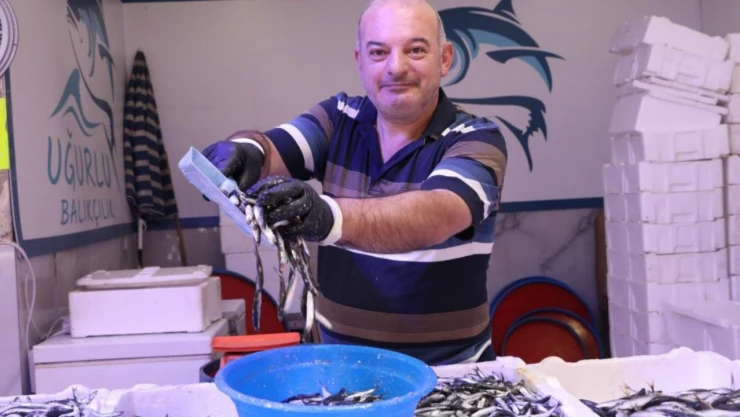 Balık tezgâhları şenlenmeye başladı