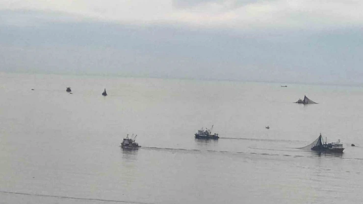 Balıkçı tekneleri Kozlu Açıklarına Akın Etti