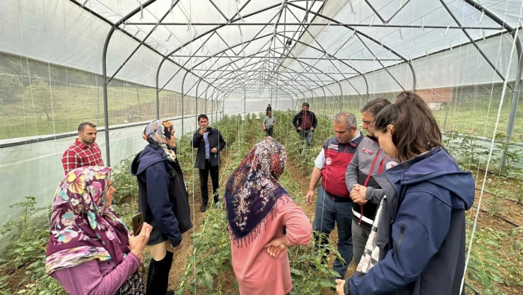 Bartın'a yerinde ziyaret