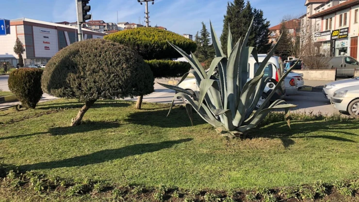 Bartın Belediyesi'nden  Çevre Düzenleme Çalışması