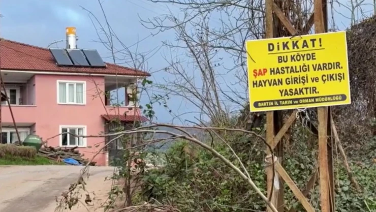 Bartın'da 12 Köyde Şap Karantinası Başlatıldı