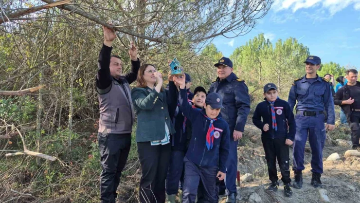 Bartın'da 3 Bin 500 Adet Fidan Dikildi