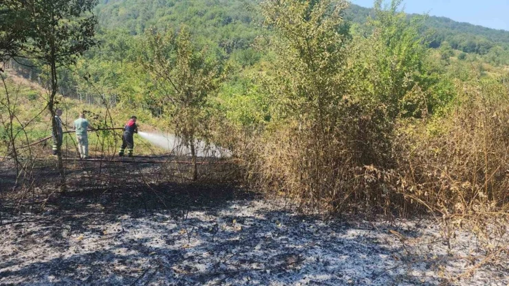 Bartın'da Anız Yangını Ormana Sıçramadan Söndürüldü