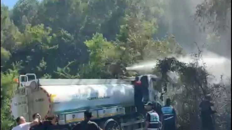 Bartın'da Bahçe Yangını Ormana Sıçramadan Söndürüldü