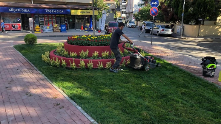 Bartın'da Düzenleme Çalışması