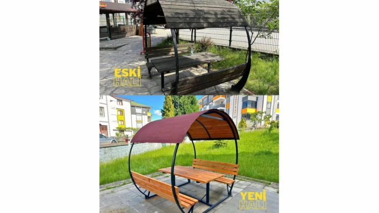 Bartın'da Kamelyalar Yenileniyor