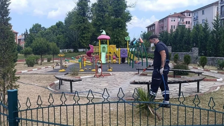 Bartın'da Kene İle Mücadele