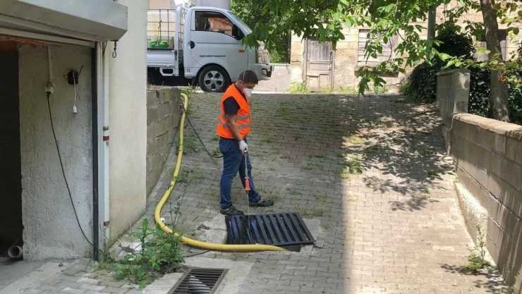 Bartın'da Larva Çalışması