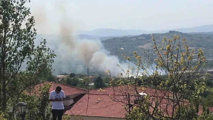 Bartın'da Peş Peşe Yangınlar Çıktı