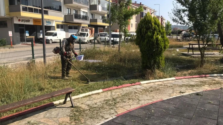 Bartın'da Temizlik Çalışması