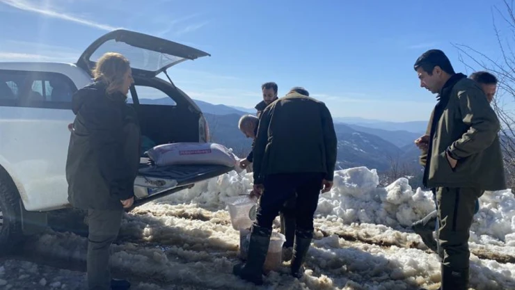 Bartın'da Yaban Hayvanlara Destek Devam Ediyor