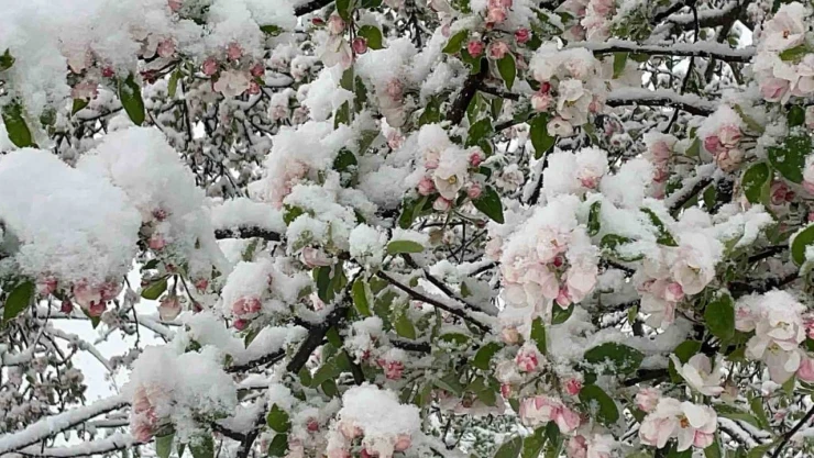 Bartınlılar Kar Yağışı İle Uyandı