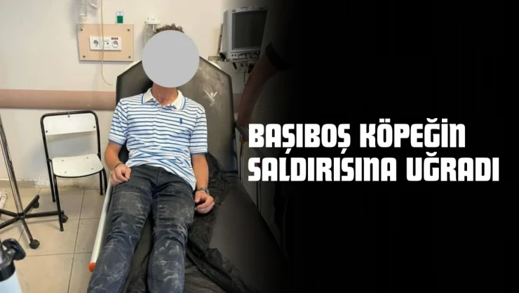Başıboş Köpeğin Saldırısına Uğradı