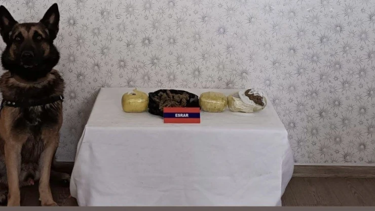 Mama Kutusundan Uyuşturucu Çıktı