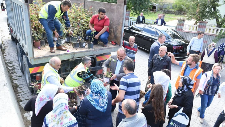 Belediye 3 bin 500 gül fidesi dağıttı