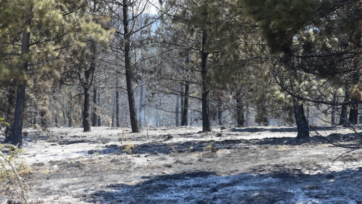 Belediye Başkanı Arslan'dan Yangın Açıklaması