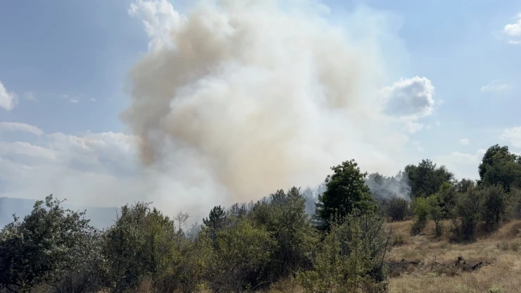 Belediye Başkanı Yamalı'dan 'Teşekkür' Paylaşımı