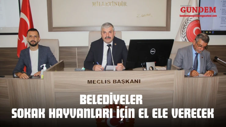 Belediyeler Sokak Hayvanları İçin El Ele Verecek