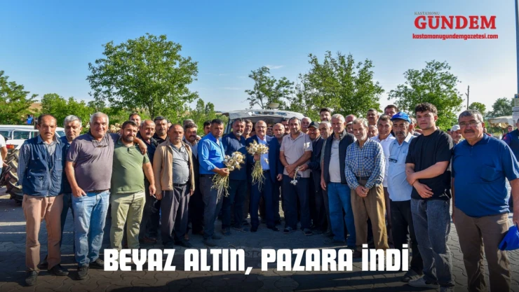 Beyaz Altın, Pazara İndi