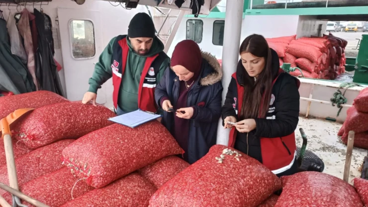 Beyaz Kum Midyesi Denetimi Yapıldı