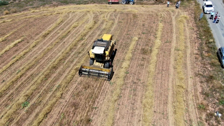Biçerdöverle biçim ve balya yapım fiyatları belirlendi