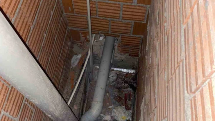 Martı Bina Boşluğunda Mahsur Kaldı