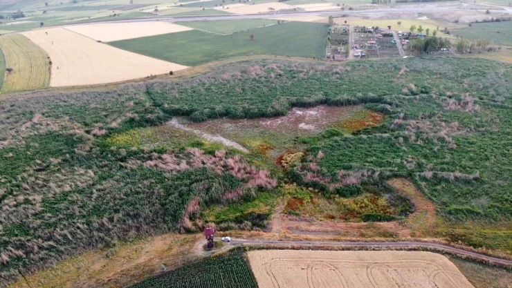 Binlerce Kuşa Ev Sahipliği Yapan Sulak Alan Tamamen Kurudu