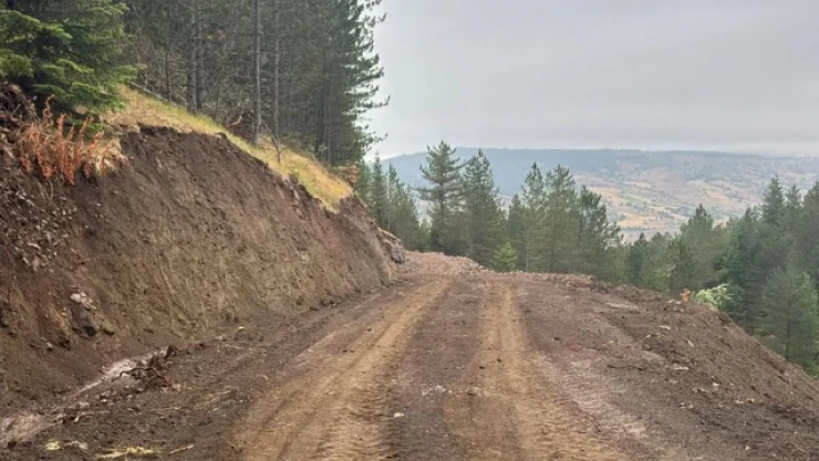 Bir Orman Yolu Daha Tamamlandı