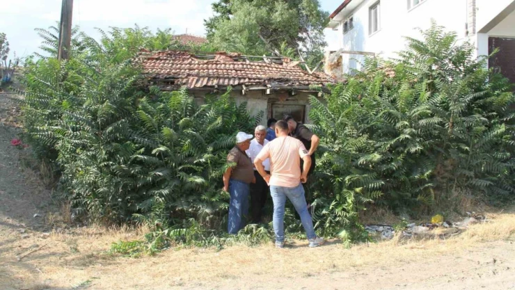 Keloğlan'ın Çankırılı Olduğu İddiası Gündem Oldu