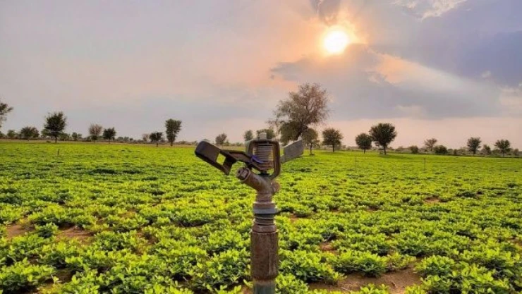 Bitkisel Üretim Azalıyor mu?