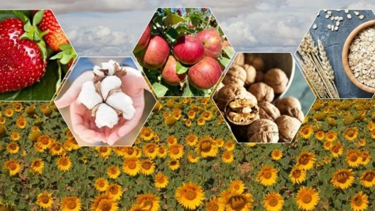 Bitkisel Üretim Bir Önceki Yıla Göre Arttı