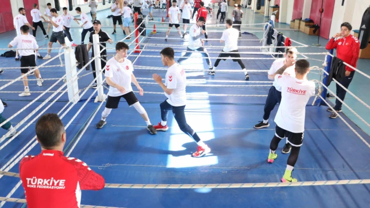 Boksta En İyi Kadro Oluşturulmaya Çalışılıyor