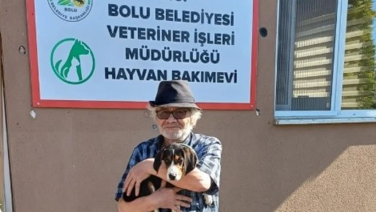 Bolu'da 10 Sahipsiz Sokak Hayvanı Yeni Yuvasına Kavuştu