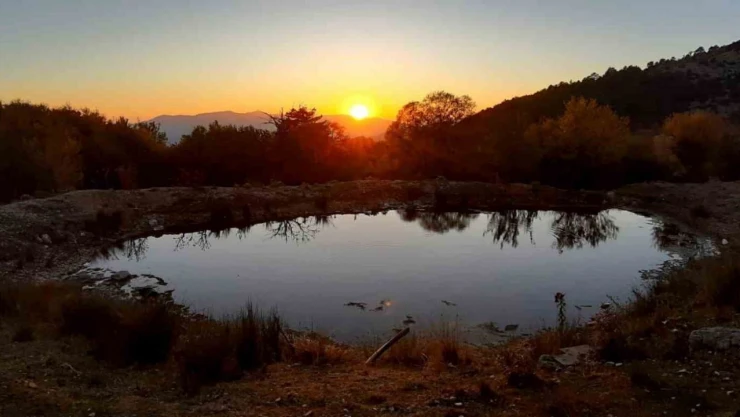 Bolu'da Yaylasında Gün Batımı Manzarası