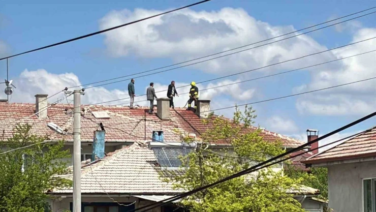 Baca Yangını Söndürüldü