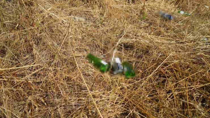 Bolu'da Anız Yakana Cezalar Arttı