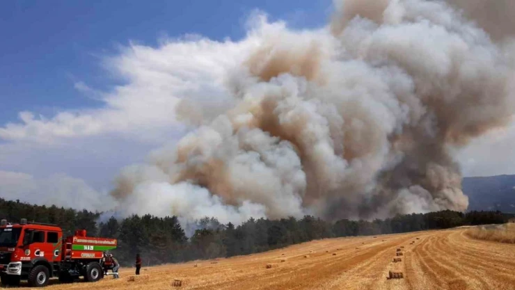 Bolu'da Anız Yangını Ormana Sıçradı