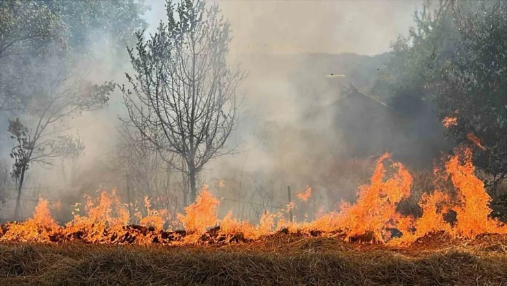 Bolu'da Bidonla Akaryakıt Satışına Yasak Getirildi