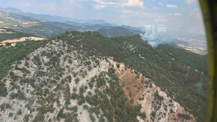 Bolu'da Orman Yangını Korkuttu