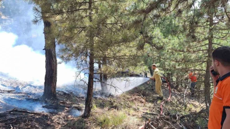 Bolu'da Çıkan Orman Yangını Büyümeden Söndürüldü
