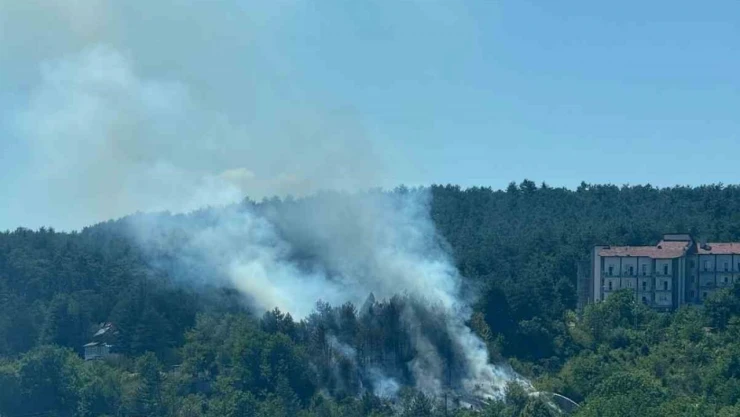 Bolu'da Çıkan Orman Yangını Büyümeden Söndürüldü
