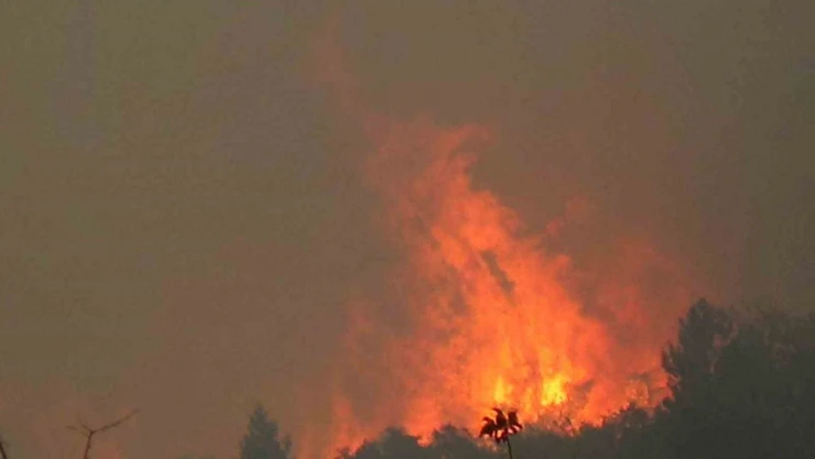 Çıkan Yangın Saatlerdir Söndürülmeye Çalışılıyor