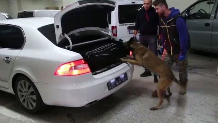 Kaçakçılık Operasyonunda 4 Gözaltı