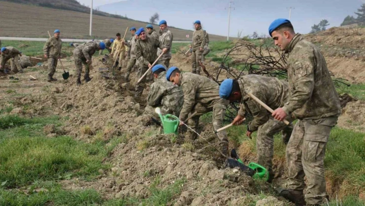 Komandolar Yeşil Vatanda Geleceğe Nefes Oldu