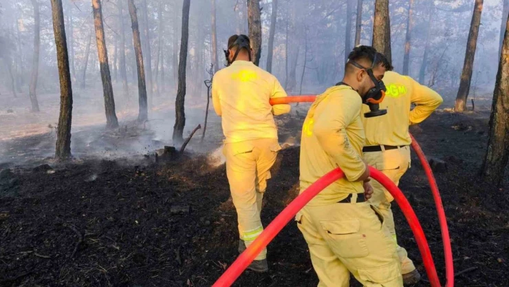 Bolu'da Soğutma Çalışması Sürüyor