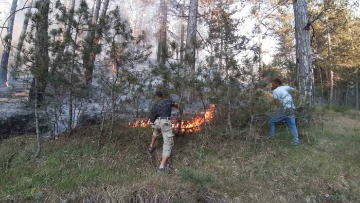 Bolu'da Orman Yangını Başladı