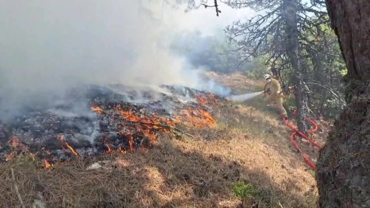 Bolu'da orman yangını: Havadan Ve Karadan Müdahale Sürüyor