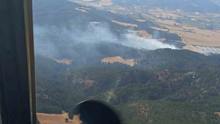 Bolu'da Orman Yangını